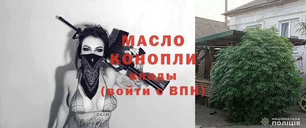 твердый Бородино