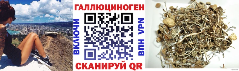 наркота  Волхов  kraken зеркало  Псилоцибиновые грибы Magic Shrooms 
